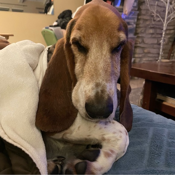 Hello friends! - Picture 16 of 16